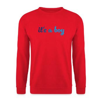 Its a Boy Gradient Blau - Unisex Pullover - Rot - Vorne - Alina (178cm) & Michal (187cm)
