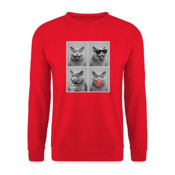 Katzen Britisch Kurzhaar Katze - Unisex Pullover - Rot - Vorne - Alina (178cm) & Michal (187cm)