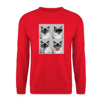Katzen Himalaya Katze - Unisex Pullover - Rot - Vorne - Alina (178cm) & Michal (187cm)
