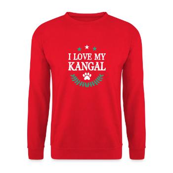 KANGAL - Unisex Pullover - Rot - Vorne - Alina (178cm) & Michal (187cm)