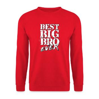 big bro - Unisex Pullover - Rot - Vorne - Alina (178cm) & Michal (187cm)