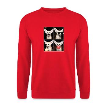 Wüstenfuchs Fennek - Unisex Pullover - Rot - Vorne - Alina (178cm) & Michal (187cm)