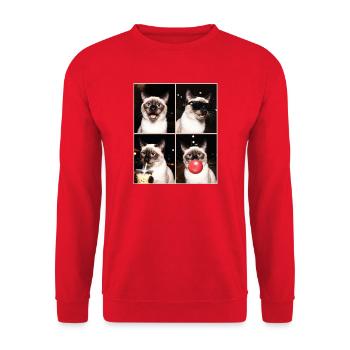 Katzen Siam Katze - Unisex Pullover - Rot - Vorne - Alina (178cm) & Michal (187cm)