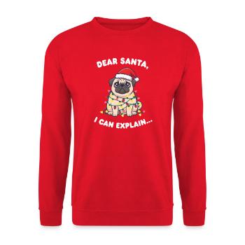 Weihnachts Dog mit Lichterkette - Unisex Pullover - Rot - Vorne - Alina (178cm) & Michal (187cm)