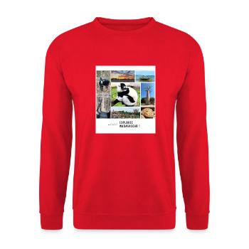Erinnerungen an Madagaskar - Unisex Pullover - Rot - Vorne - Alina (178cm) & Michal (187cm)