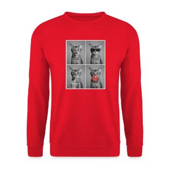 Chats Chat Abyssinian - Sweat-shirt Unisexe - rouge - Devant - Alina (178cm) & Michal (187cm)