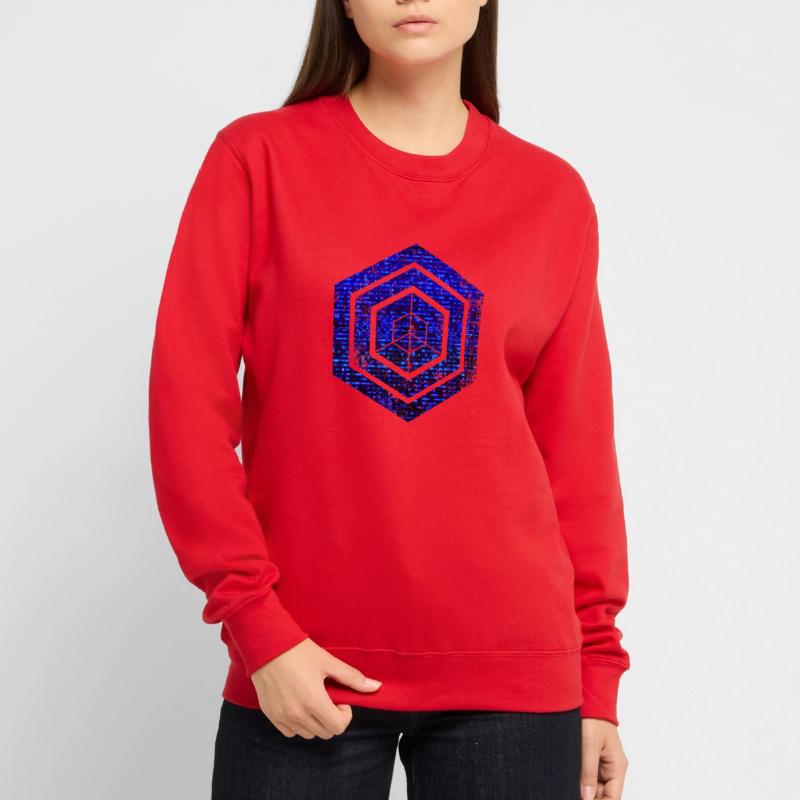 Codage géométrique du programmeur de programmation hexagonale Sweat-shirt Unisexe