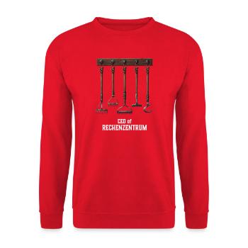 Leiter der Rechenzentrums - Unisex Pullover - Rot - Vorne - Alina (178cm) & Michal (187cm)