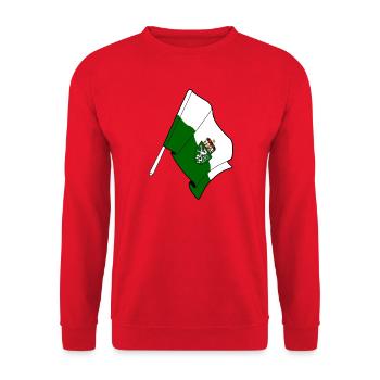 Drapeau de Styrie - Sweat-shirt Unisexe - rouge - Devant - Alina (178cm) & Michal (187cm)