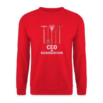 Programmierer Softwareentwickler Coder Sprüche - Unisex Pullover - Rot - Vorne - Alina (178cm) & Michal (187cm)