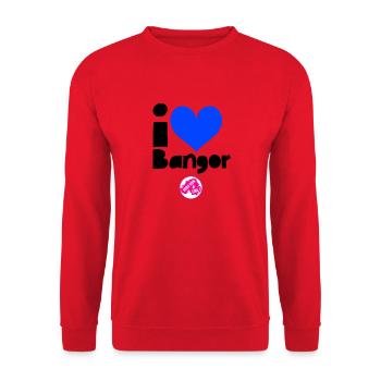 Bangor Irlande du Nord - Sweat-shirt Unisexe - rouge - Devant - Alina (178cm) & Michal (187cm)