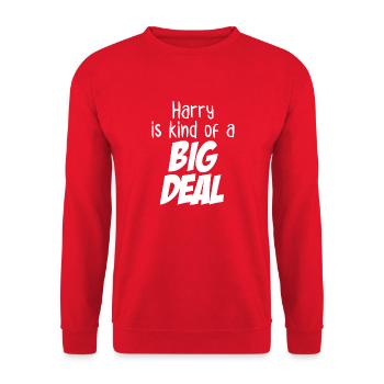 Harry is Kind of a Big Deal - Unisex Sweatshirt - red - Front - Alina (178cm) & Michal (187cm)