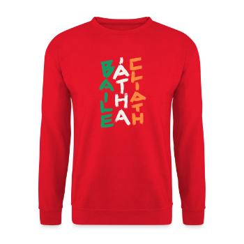 Dublin  - Baile Átha Cliath - Unisex Pullover - Rot - Vorne - Alina (178cm) & Michal (187cm)