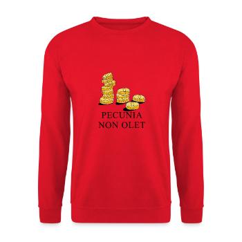 geld stinkt nicht latein schwarz - Unisex Pullover - Rot - Vorne - Alina (178cm) & Michal (187cm)