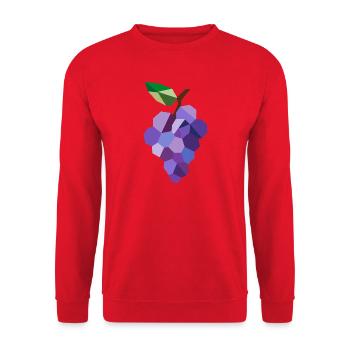 Raisins géométriques – motif des raisins modernes - Sweat-shirt Unisexe - rouge - Devant - Alina (178cm) & Michal (187cm)