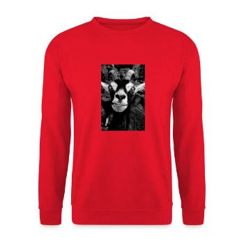 Lustige Ziege schwarz weiß Fotografie - Unisex Pullover - Rot - Vorne - Alina (178cm) & Michal (187cm)