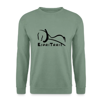 Espritrait cheval école