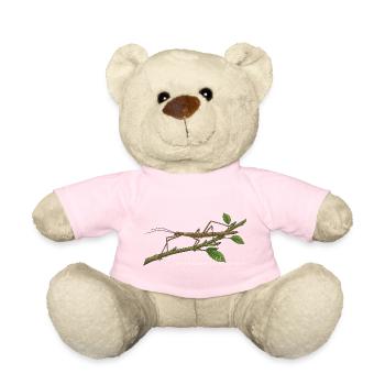 Indische Stabschrecke Carausius morosus - Teddy - Hellrosa - Vorne