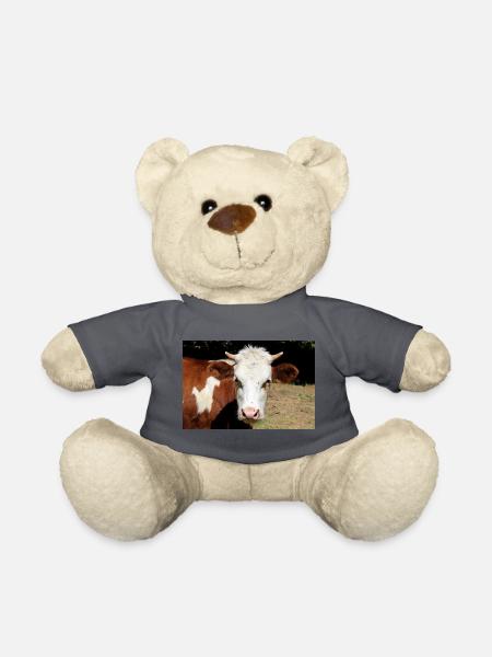 Kuh Poster - Teddy - Anthrazit - Vorne