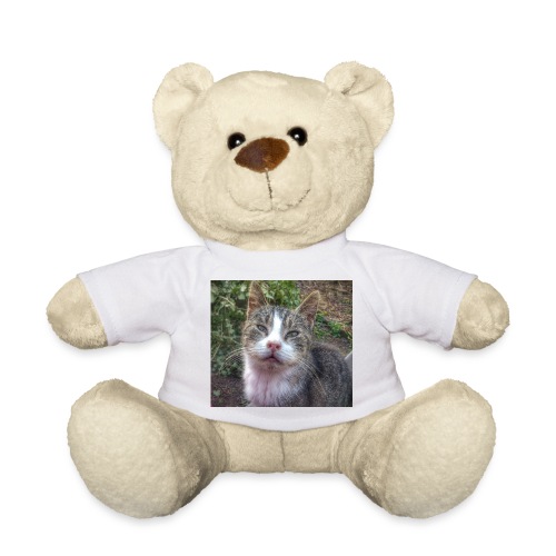 Cat Max - Teddy Bear