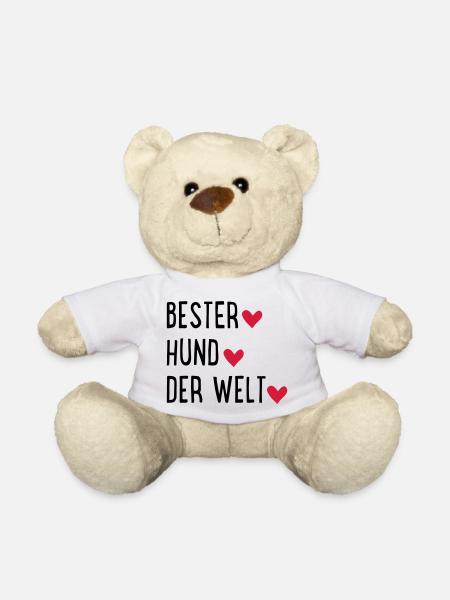 Hund - Teddy - Weiß