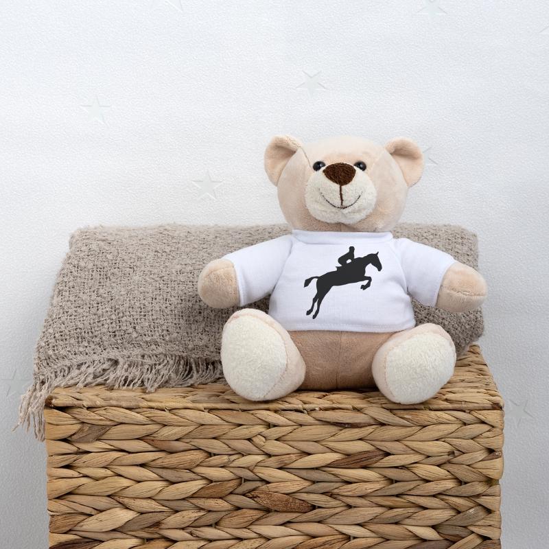 equitation cavalier obstacle cheval saut Nounours