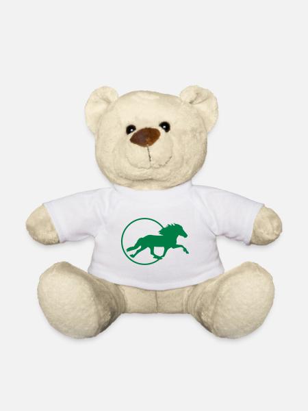 Islandpferde - Rennpass - Teddy - Weiß