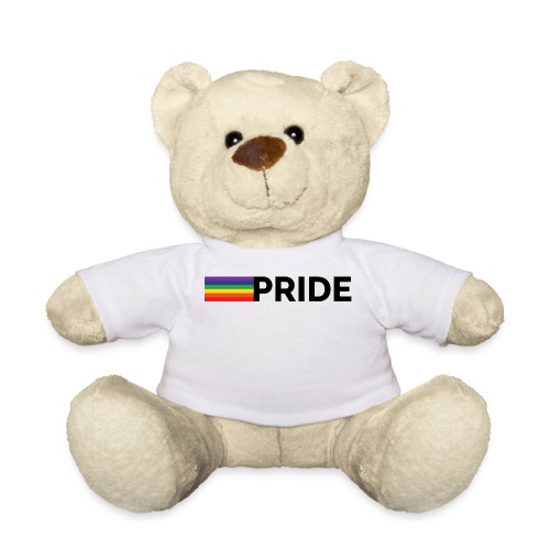 Pride | Regenbogen | LGBT - Teddy