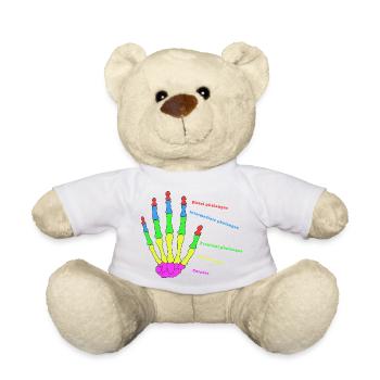 Hand Knochen Anatomie Mensch Evolution Physio - Teddy - Weiß - Vorne
