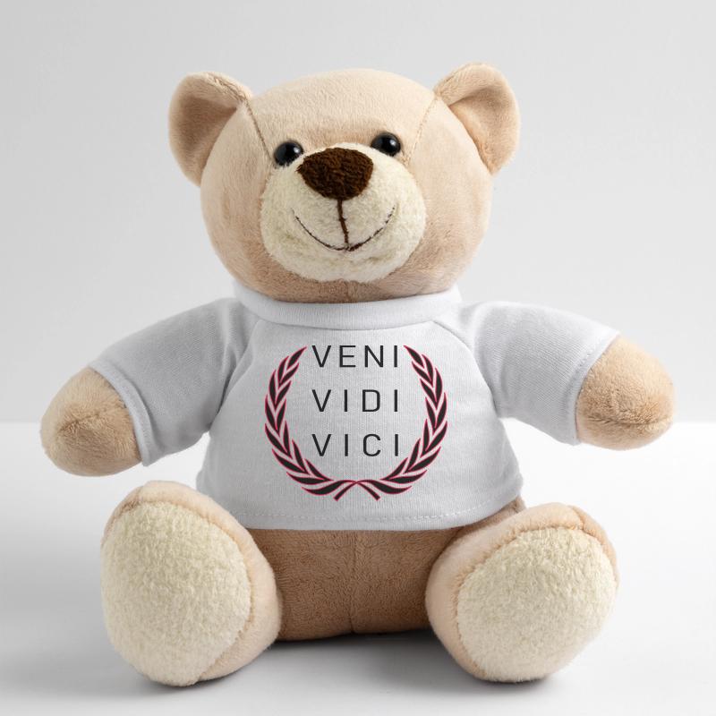 Veni Vidi Vici Nounours