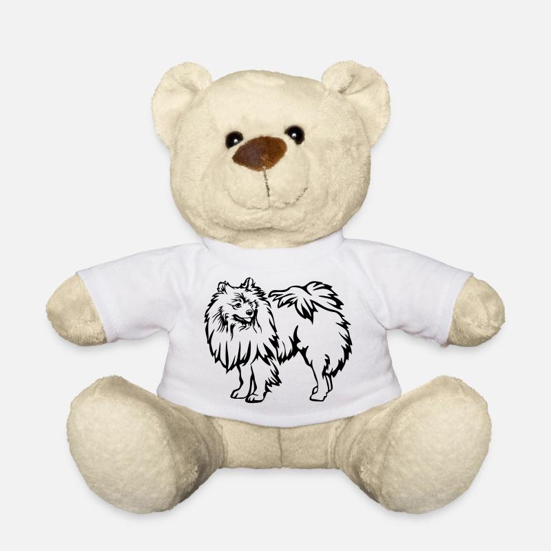 Spitz - Teddy - Weiß
