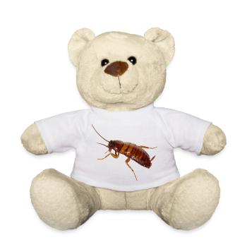 Cafard insecte cafard cafard - Nounours - blanc - Devant