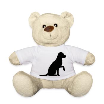 Hund - Teddy - Weiß - Vorne