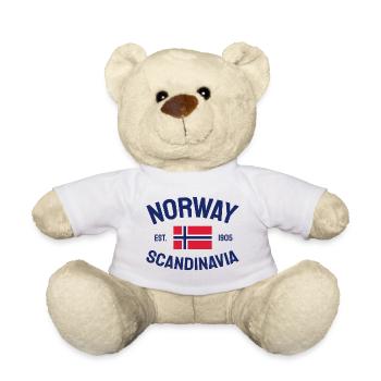 Norway - Norge - Norwegen - Scandinavia - 1905 - Teddy - Weiß - Vorne