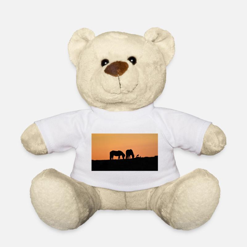 Islandpferde bei Sonnenuntergang - Teddy - Weiß