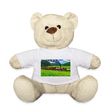 Vallée de Rheidol - Nounours - blanc - Devant