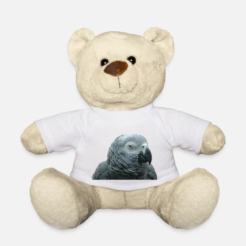 Graupapagei Porträt - Teddy - Weiß