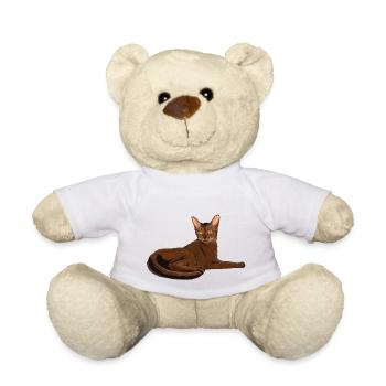 Chat abyssin - Nounours - blanc - Devant