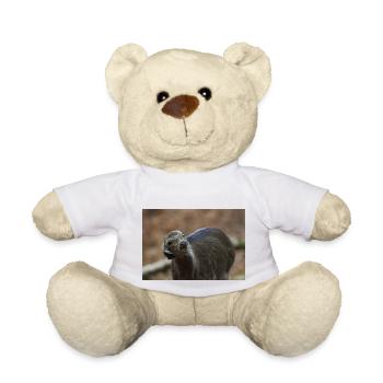 000 3551 NEF - Teddy Bear - white - Front