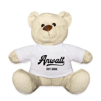 Lawyer 2026 Lawyer Public Prosecutor Law Lawyer - Teddy Bear - white - Front