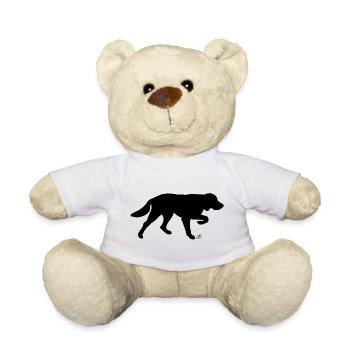 langhaariger Vorstehhund - Teddy - Weiß - Vorne