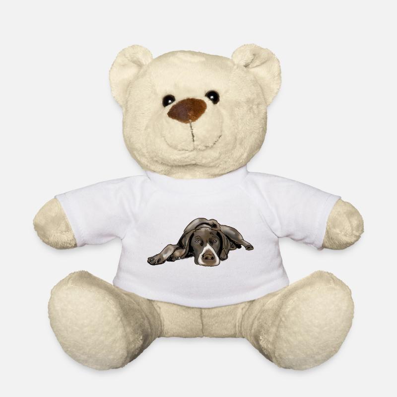 Pointeur German Shorthair - Nounours - blanc
