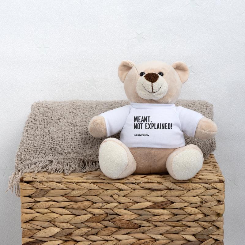 Meant. Not explained! Teddy Bear