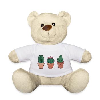Three Cacti in Terracotta Pots - Teddy Bear - white - Front