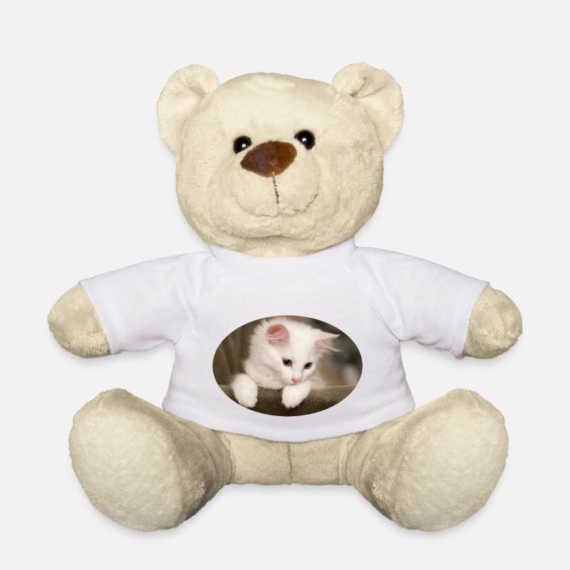 Chaton - Nounours - blanc