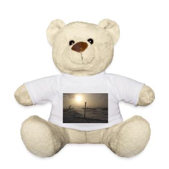 Alone in Iceland - Teddy - Weiß - Vorne