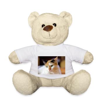 le chat au doux regard - Nounours - blanc - Devant