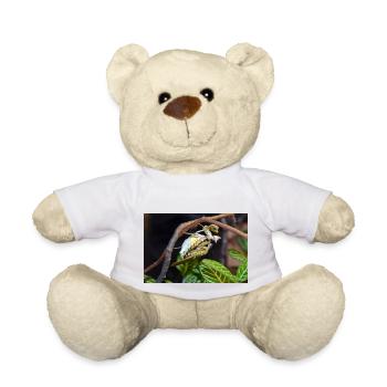 Creobroter spec. - Flower mantis - adult pair - Teddy - Weiß - Vorne