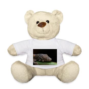 Eurydactylodes symmetricus - Neukaledonian gecko - Teddy Bear - white - Front