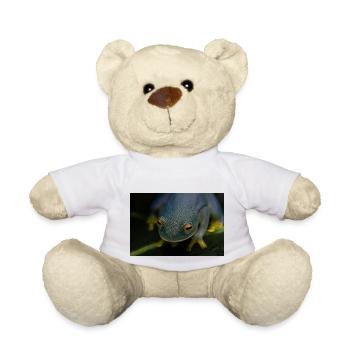 Cochranella granulosa - Glassfrog - Teddy Bear - white - Front